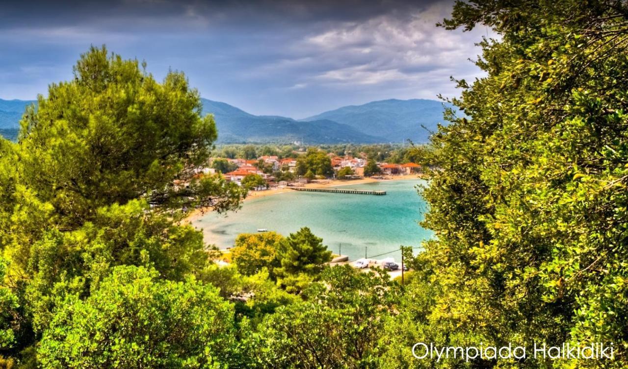 Mirini • Ancient Stagira Apts • Chalkidiki Olympiada Luaran gambar