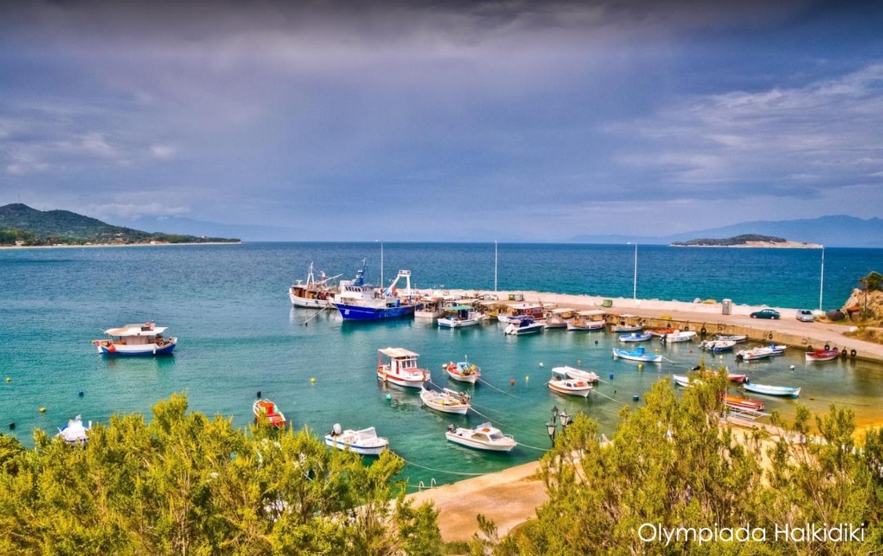 Mirini • Ancient Stagira Apts • Chalkidiki Olympiada Luaran gambar